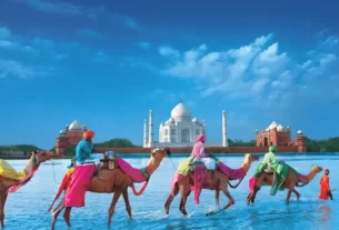 Rumo à Índia 2025: Uma Jornada Inesquecível pelo Coração Espiritual e Cultural do Oriente